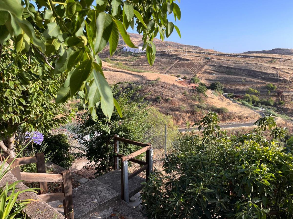 הוילה Juncalillo Cueva El Retamal מראה חיצוני תמונה